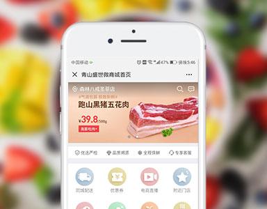 微信小程序--B2C电商系统